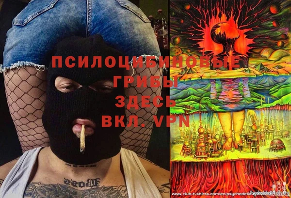 бошки Абдулино