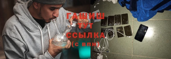 шишки Абаза