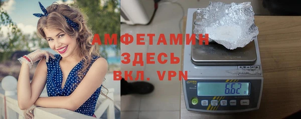 шишки Абаза