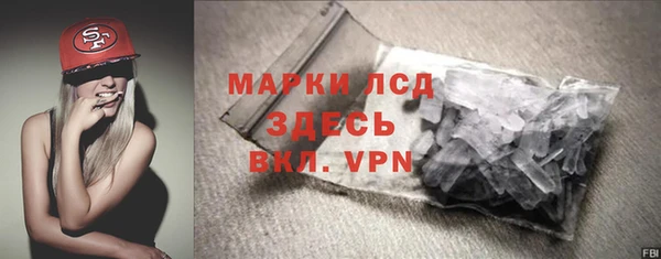 шишки Абаза