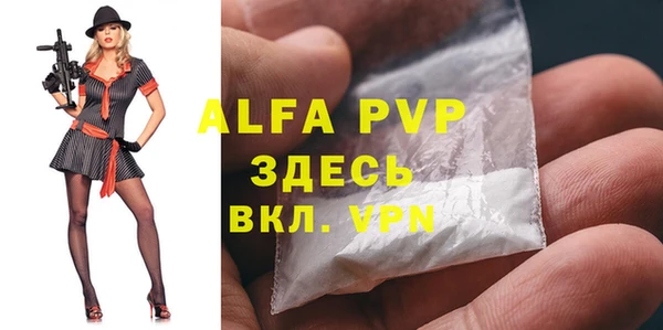 шишки Абаза