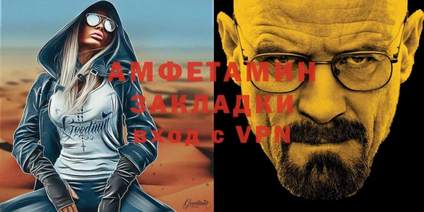 шишки Абаза