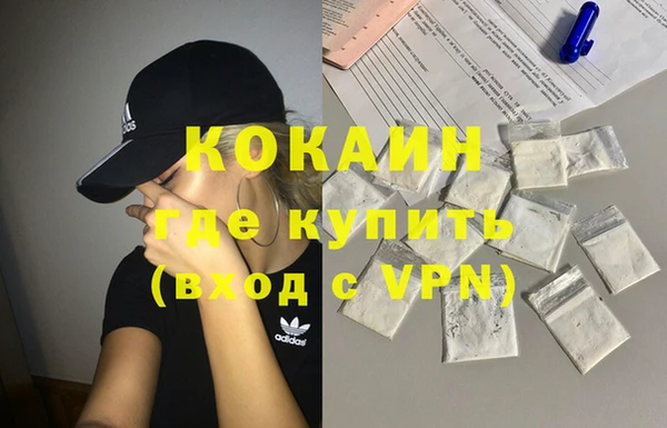 шишки Абаза