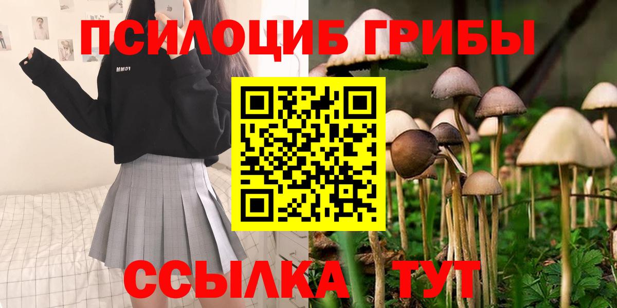 Кумертау  Галлюциногенные грибы GOLDEN TEACHER  Псилоцибиновые грибы Cubensis  Вход с VPN 